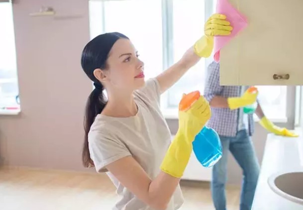Ev Temizliği